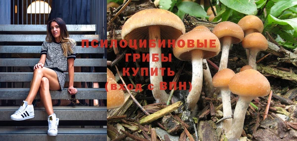 молекула духа Бородино