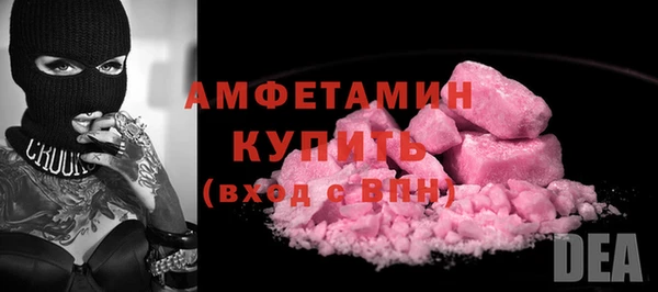 молекула духа Бородино