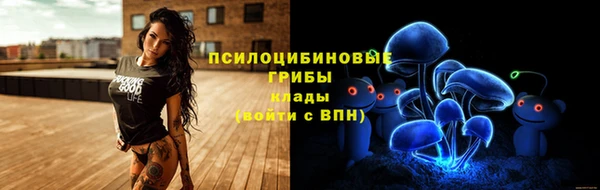молекула духа Бородино