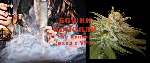 ешки Бронницы