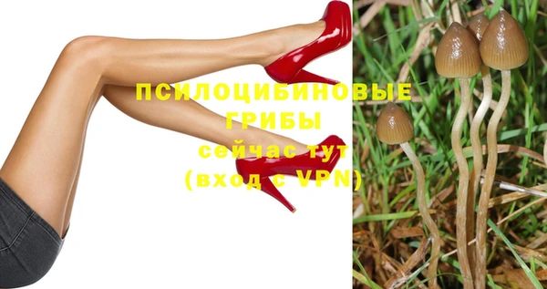круглые Богородицк