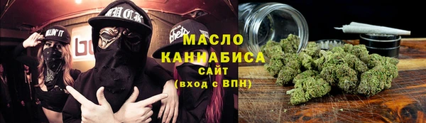 молекула духа Бородино