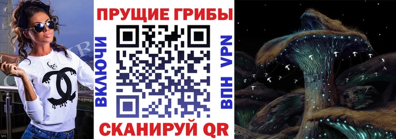 Псилоцибиновые грибы GOLDEN TEACHER  hydra ONION  Северск  сайты даркнета официальный сайт  наркошоп 